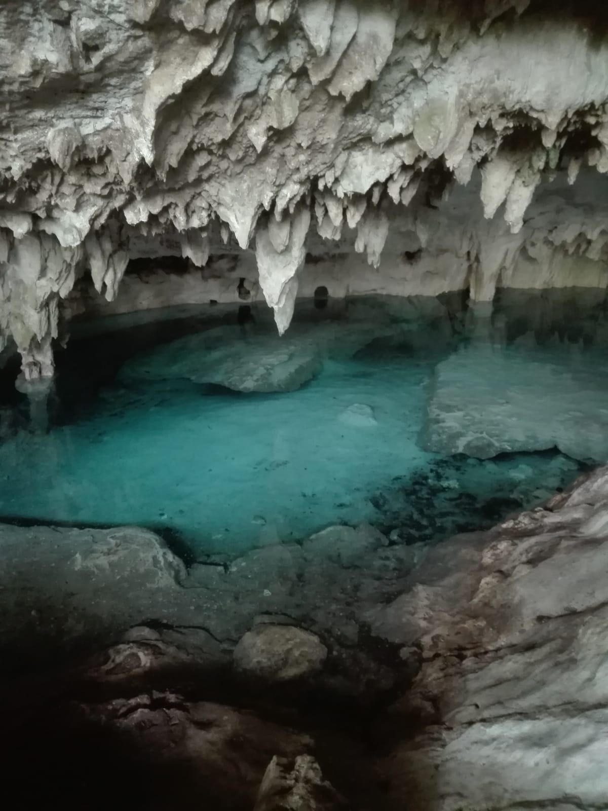 Cenote de agua cristalina en el complejo
