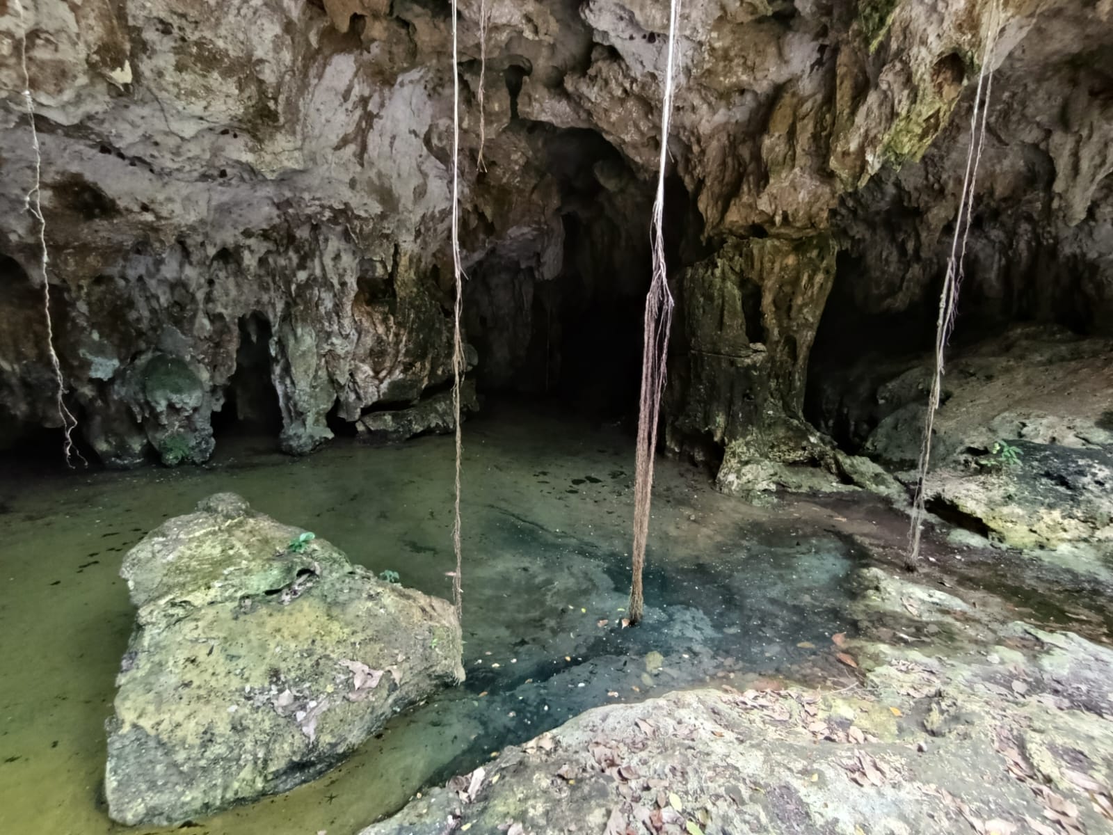 Cenote catedral